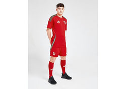 adidas Wales 2024 Home Shorts Red