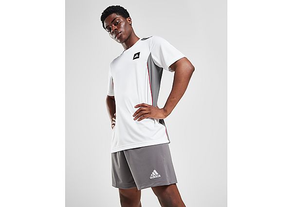 adidas Entrada 22 Shorts  Team Grey Four