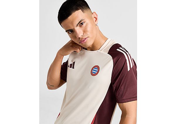 adidas FC Bayern Munich European Training Shirt  Brown