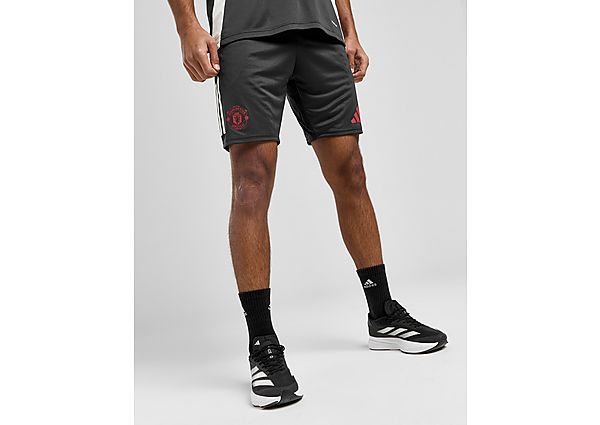 adidas Manchester United FC European Training Shorts  Grey