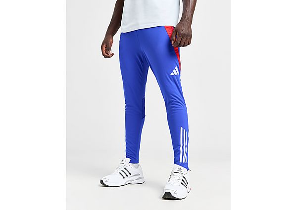 adidas Tiro 24 Competition Track Pants  Blue