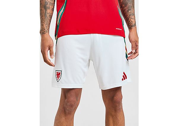 adidas Wales 2024 Home Shorts  White