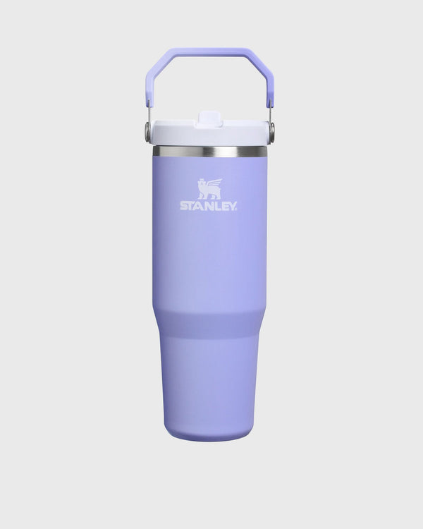 Stanley The IceFlow Flip Straw 20 Tumbler 30oz purple