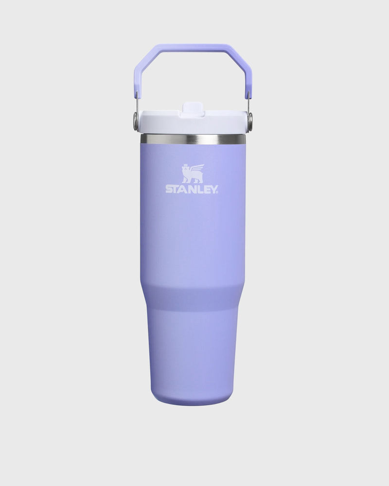 Stanley The IceFlow Flip Straw 20 Tumbler 30oz purple