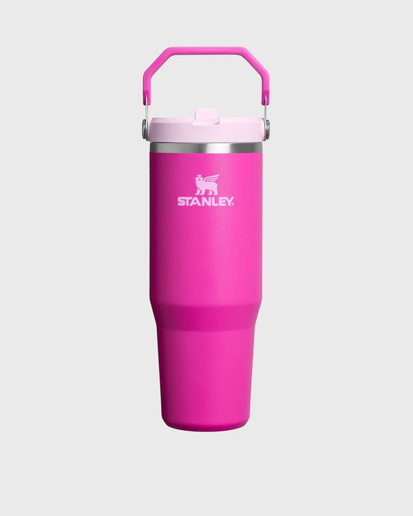 Stanley The IceFlow Flip Straw 2.0 Tumbler purple