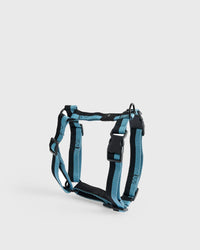 Hay HAY Dogs Harness-Medium black|blue