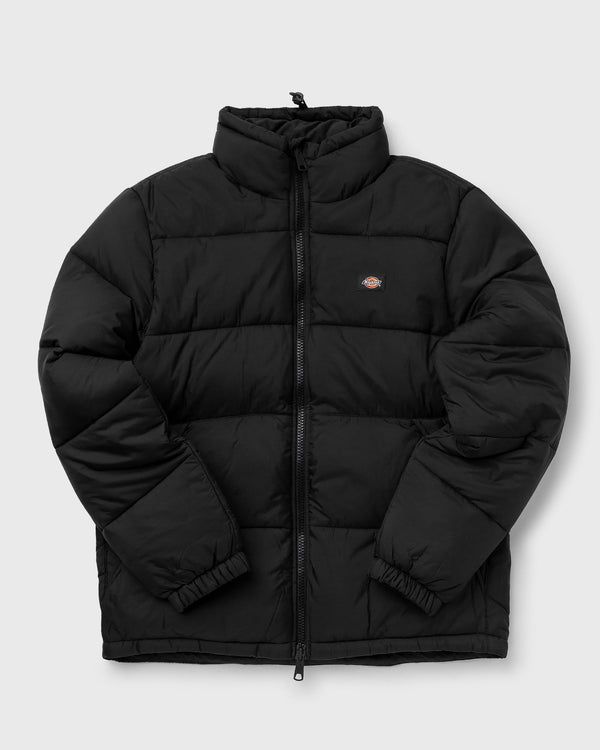 Dickies WALDENBURG black