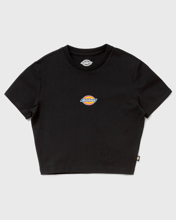 Dickies MAPLE VALLEY TEE black