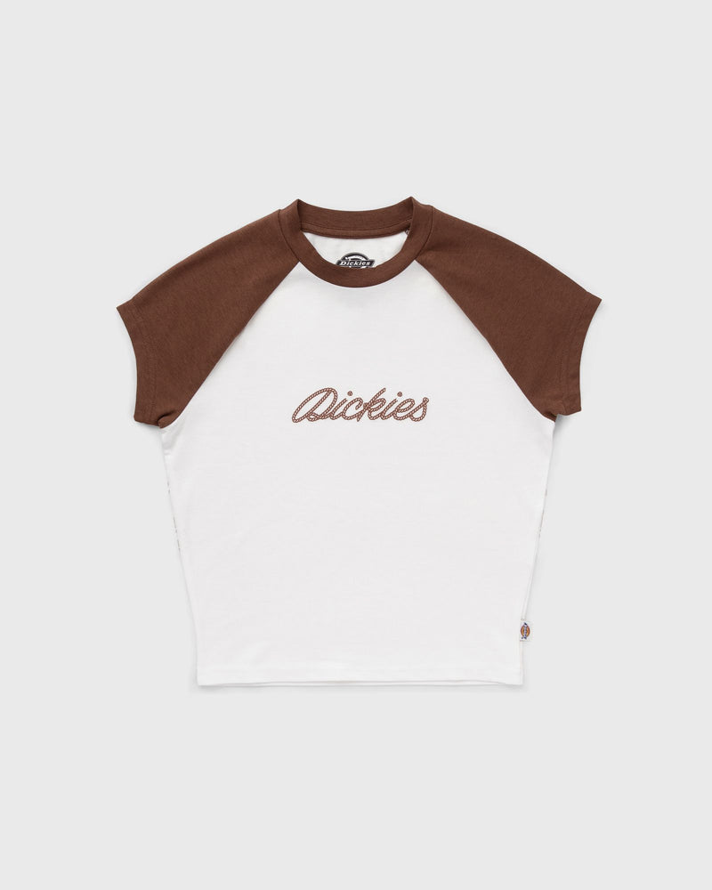 Dickies DICKIES ROPE SS TEE brown