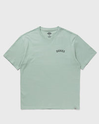 Dickies Snake SS TEE green