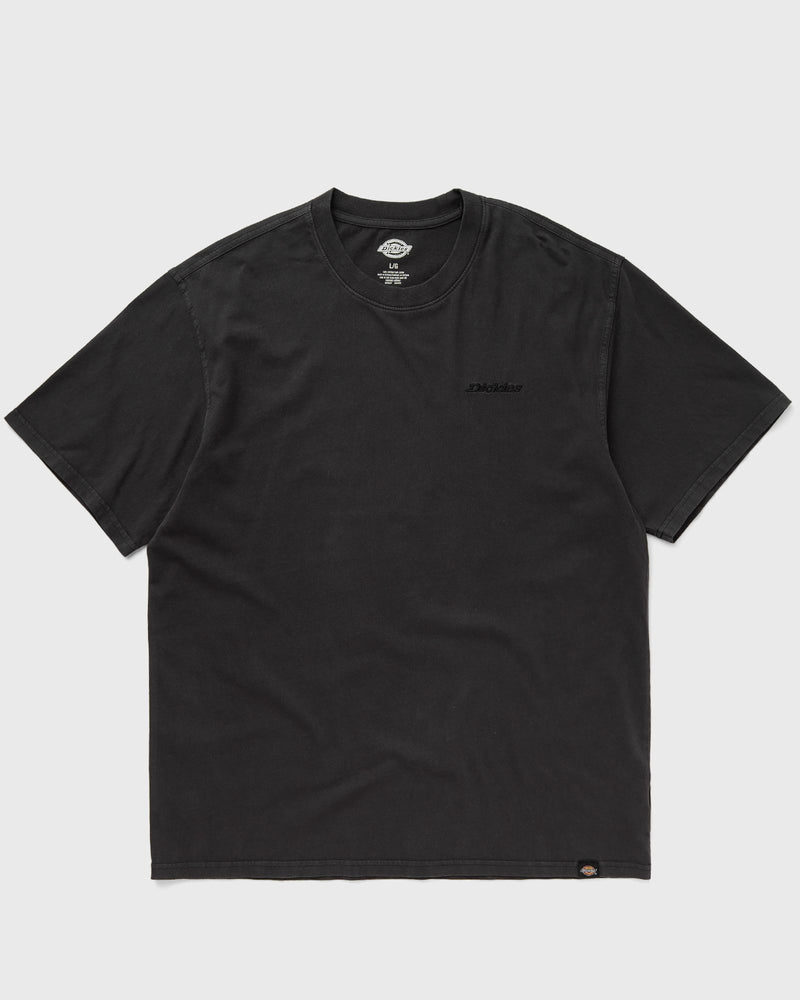 Dickies PLENTYWOOD TEE SS black