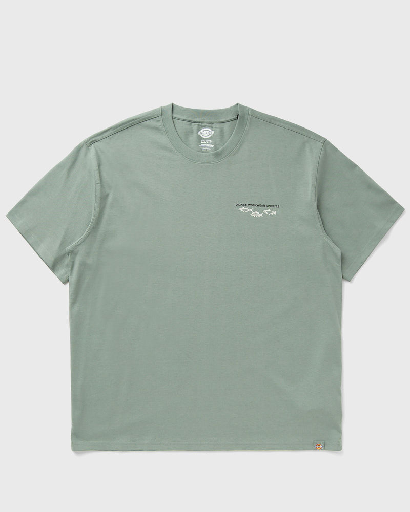 Dickies LARYVILLE TEE SS multi