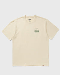 Dickies Apison TEE SS grey