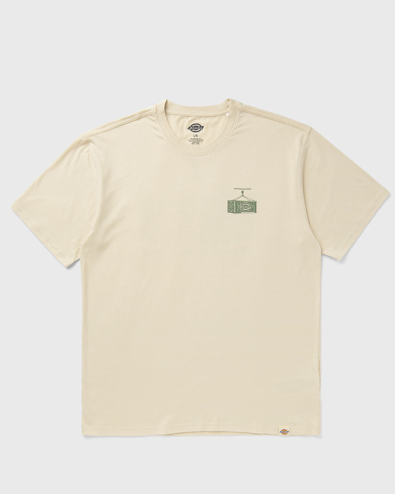 Dickies APISON TEE SS grey