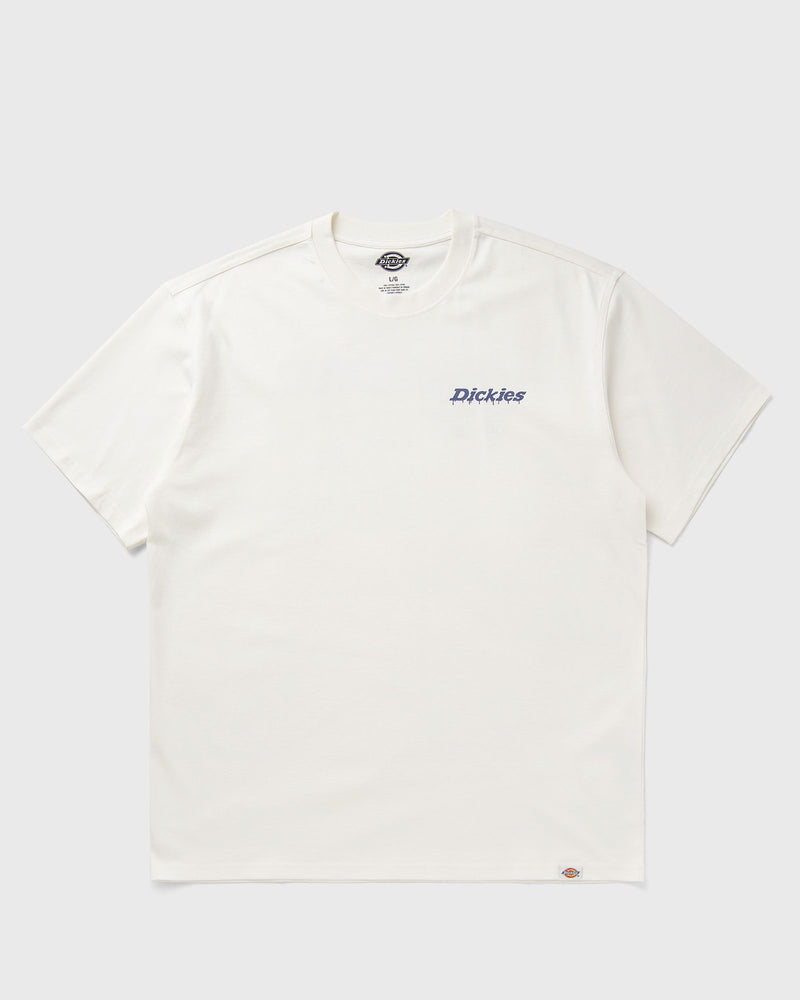 Dickies STATESVILLE TEE SS beige