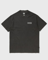 Dickies Buchtell Ss Tee Black