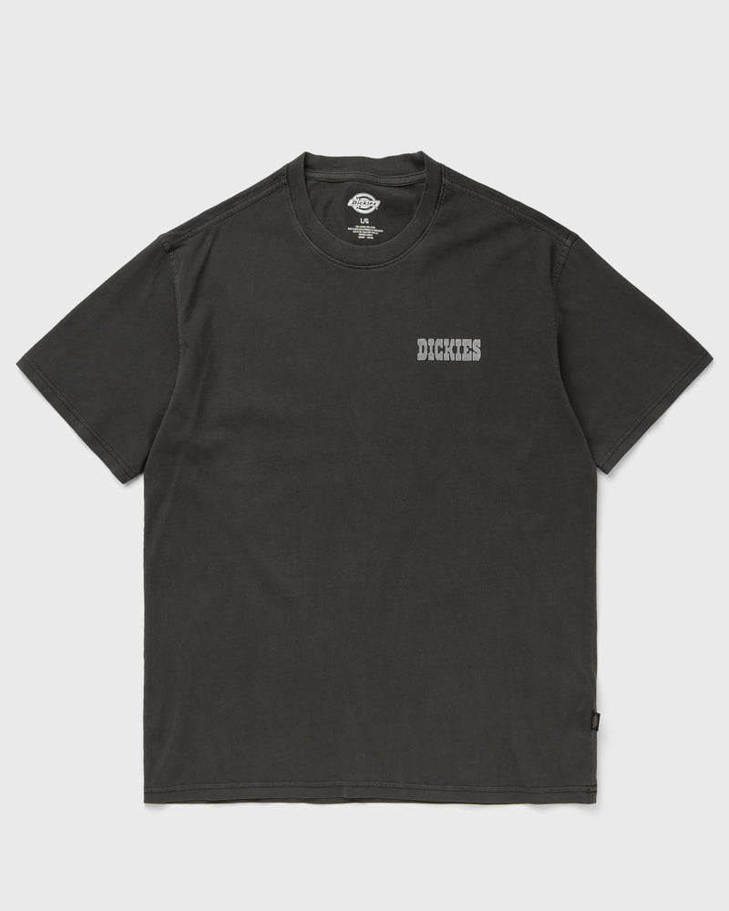 Dickies Buchtell Ss Tee Black