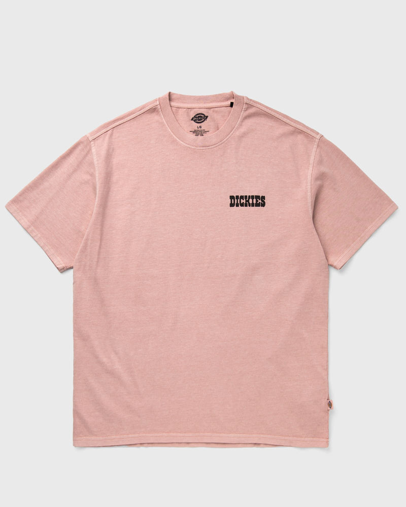 Dickies Buchtell Ss Tee Pink