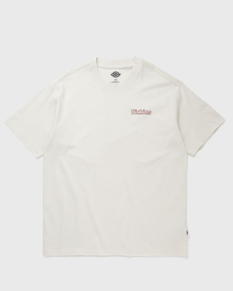 Dickies Fairlawn Ss Tee Beige