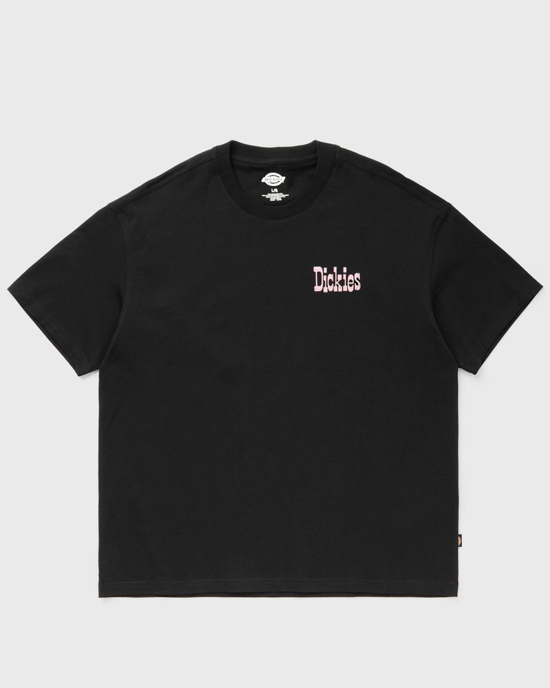 Dickies Polk Ss Tee Black