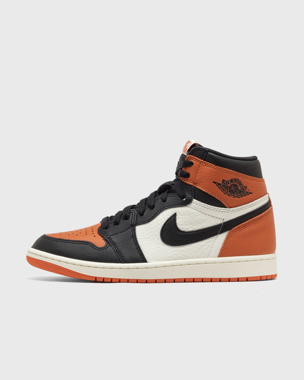 Jordan Air Jordan 1 Retro High OG "Shattered Backboard" multi