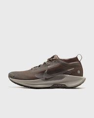 Nike Pegasus Trail 5 GTX grey