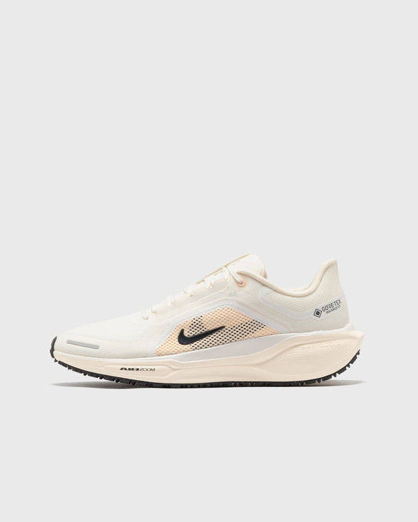 Nike WMNS AIR ZM PEGASUS 41 GTX white