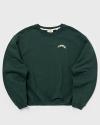 Pompeii Fountain PINE Graphic Crewneck green