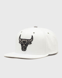 Mitchell & Ness NBA DAY 4 Snapback Chicago Bulls white