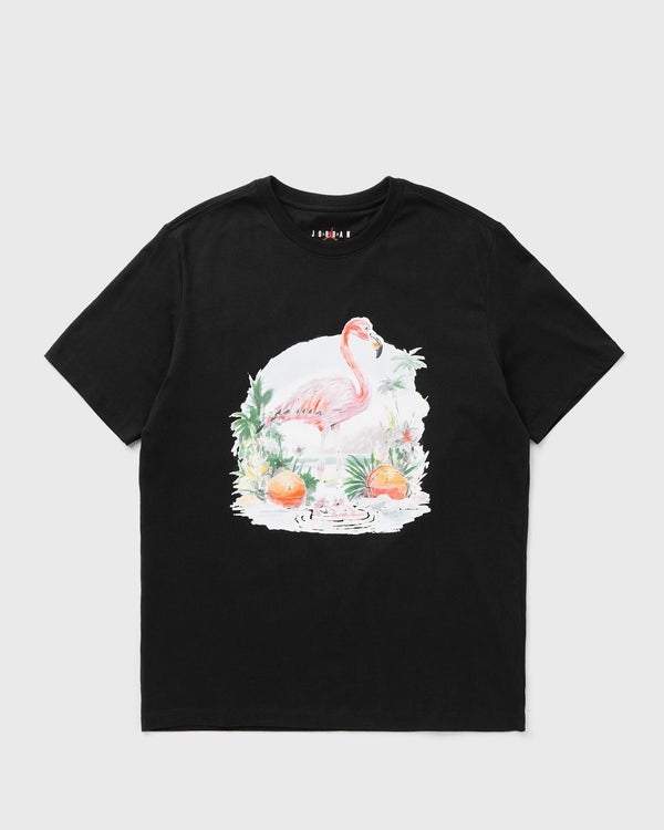 Jordan FLT ESS FLMNGO SS CREW black