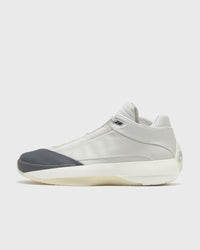 Jordan Air Jordan 40 Grey