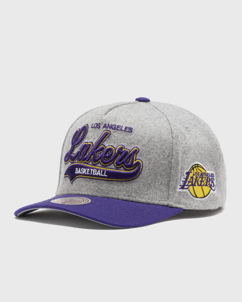Mitchell & Ness NBA Tailsweeps PRO Snapback LOS Angeles Lakers grey