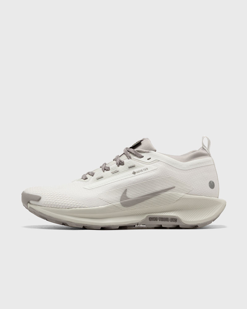 Nike REACTX PEGASUS TRAIL 5 GTX SP white
