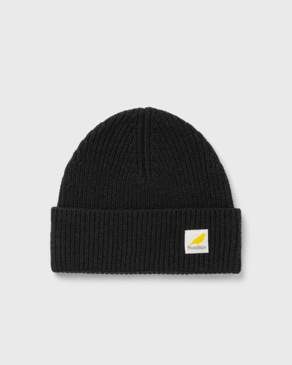 JW Anderson LOGO PATCH BEANIE black