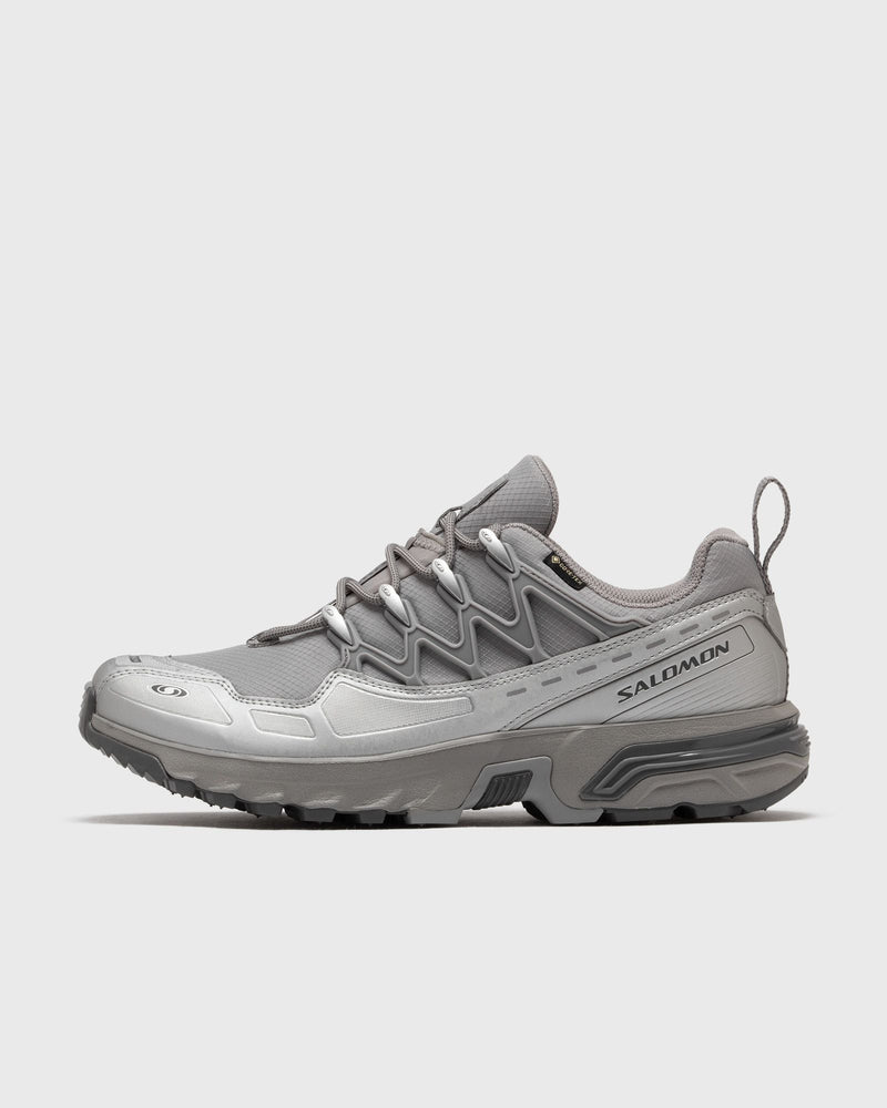 Salomon Acs+ GTX Grey