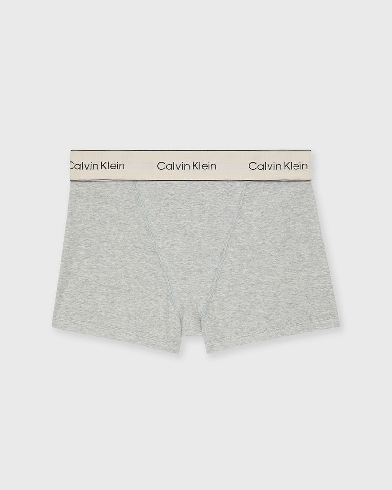 Calvin Klein Underwear BOXER BRIEF grey