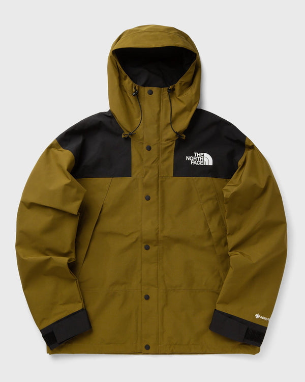 The North Face GTX MOUNTAIN JACKET green