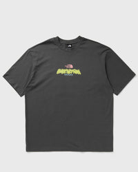 The North Face Expedition Celebration Oversized S/S TEE grey