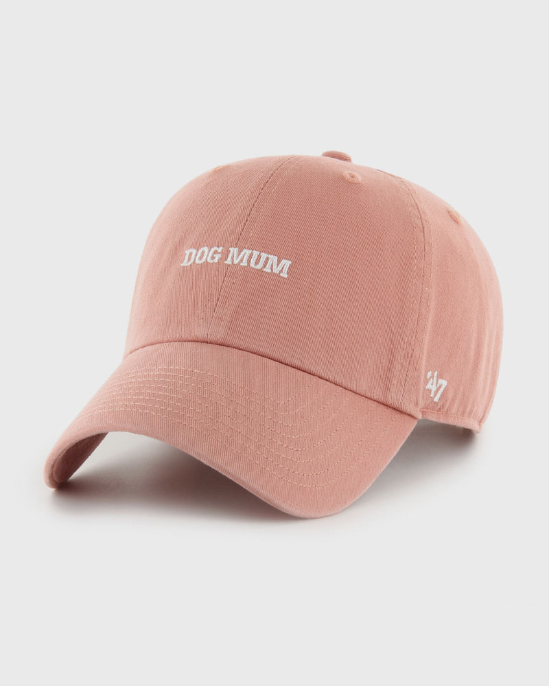 47 Phrase Base Runner Icon 47 CLEAN UP pink