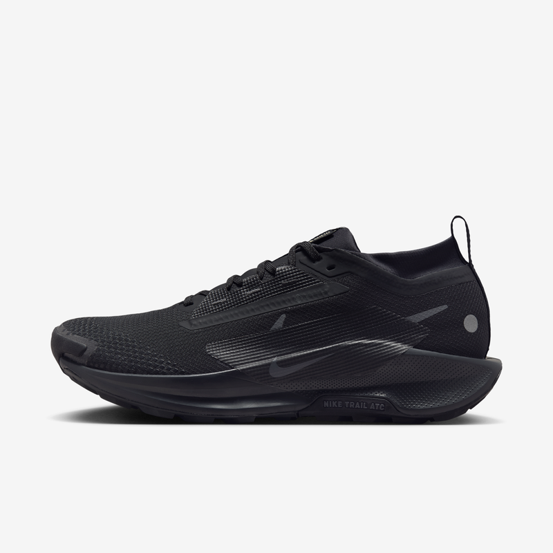 Tenis de trail running impermeables para hombre Nike Pegasus Trail 5 GORE-TEX Negro