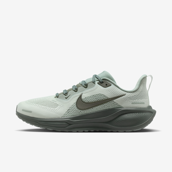 Tenis De Correr En Pavimento Para Mujer Nike Pegasus 41 Gris