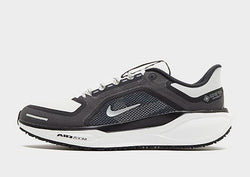 Nike Pegasus 41 GORE Grey