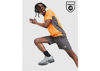 The North Face Performance Woven Shorts grey