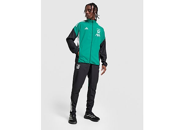 adidas Liverpool FC Presentation Track Pants