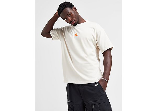 Nike ACG Lungs T-Shirt Brown