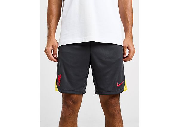 Nike Liverpool FC Strike Shorts Grey