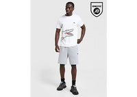 Lacoste Core Fleece Shorts grey
