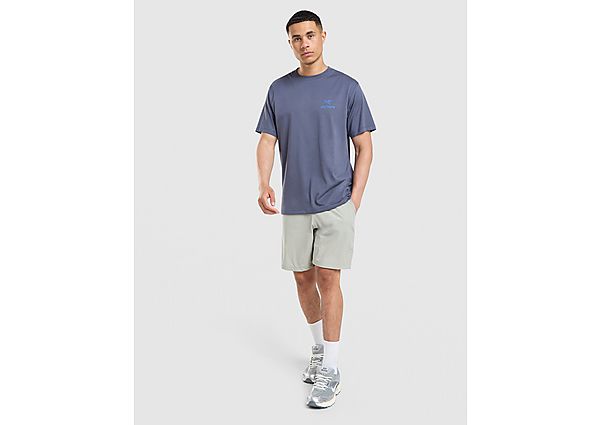 Arc\'teryx Kragg SL Cotton Bird Word Shirt SS grey