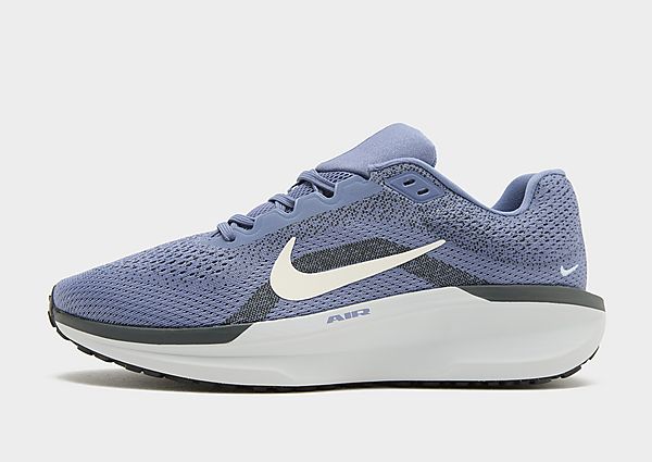 Nike Winflo 11 blue