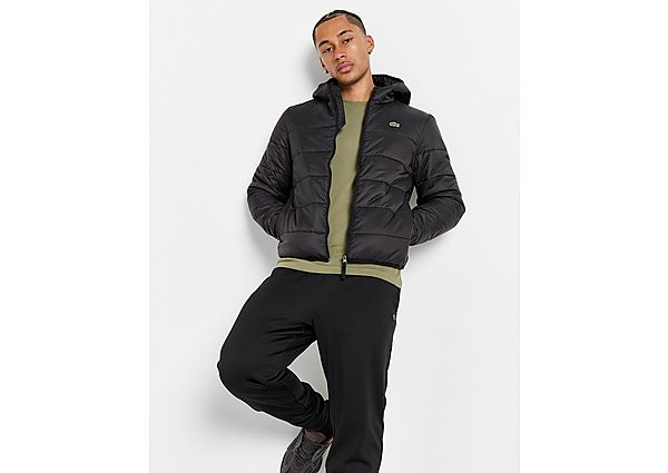 Lacoste Padded Jacket